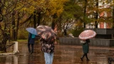 В Мурманской области на смену ночным заморозкам приходят дожди