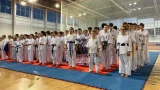 В Мурманске проведут Кубок губернатора по киокусинкай