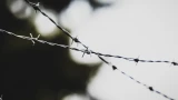 Два месяца колонии-поселения: жительницу Североморска лишили свободы за неуплату алиментов
