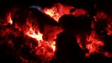 В Ковдорском районе мужчина сжег 4 га леса и отказался платить компенсацию