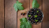 Витаминный заряд на зиму: варенье из чёрной смородины с апельсином и корицей — рецепт бренд-шефа Сергея Кузнецова