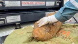 В торговом порту Мурманска обнаружили немецкую авиабомбу