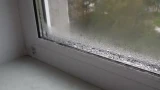 Конденсат на окнах устранить легко: 4 простых способа — забудете о проблеме до весны