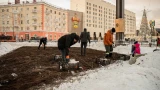 Сажать клумбы в Мурманске начали в ноябре, снег не помеха