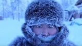 Село в России, где температура опускается до -71°C: коровам надевают специальные «лифчики», людям — маски