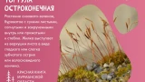 В Мурманской области рассказали про краснокнижный мох