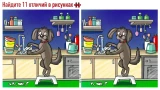 Пёс моет посуду, а вы ищите отличия на рисунках: их 11 — надо увидеть все