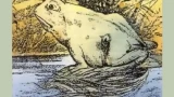 Лягушка или лошадь: тест, который видит вас насквозь — подружитесь с подсознанием