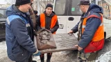 Не просто имя: в Мурманске обновили мемориальную доску герою-пограничнику Халатину