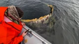 Космический улов в Териберке: гид вытащил из Баренцева моря обломки настоящей ракеты