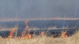 Горим раньше срока: в Мурманской области экстренно вводят пожароопасный режим из-за аномальной погоды