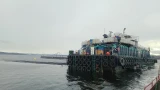 Норвежский десант: Мурманская область приняла 630 тысяч мальков атлантического лосося