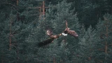 Кадры Заполярья: фотограф-дефектоскопист из Полярных Зорь покоряет мировые конкурсы