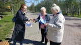 «Шел гулять — попал в библиотеку»: в Североморске провели викторину на свежем воздухе