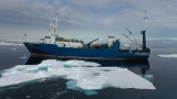 Российские ученые нанесли на карту тысячи скрытых водоворотов Баренцева моря