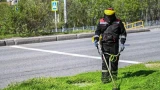 На Кольском проспекте приступили к покосу травы: глава Мурманска сообщил о старте сезона