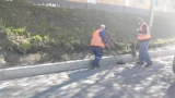 Покос травы и высадка цветов: глава Мурманска отчитался об уборке улиц и назвал телефон для жалоб