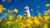 Евгений ДАНИЛКИН. Долгий путь к «Алеше»