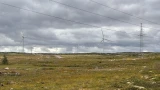 Хроники заполярной пустыни: как наступают Кузоменские пески и почему бьет тревогу Териберка