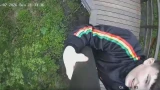 Ночной погром у Чистого ручья: в Мурманске ищут вандалов, попавших на камеры видеонаблюдения