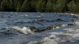 Первозданная тайга Заполярья: Лапландский лес включили в топ-10 самых красивых в России