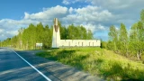 Жители апатитской пятиэтажки вынуждены соседствовать с крысами