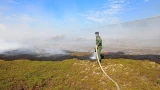 В Печенгском округе недалеко от автомобильной дороги горел торф