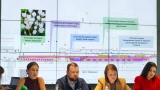 В Мурманске на проспекте Ленина высадят белые крокусы и черёмуху