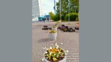Назло вандалам и погоде: в Мурманске заново засаживают опустевшие городские клумбы