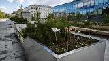 Мурманский Арбат: сколько стоит пешеходная Ленинградская и почему ее сначала ругали