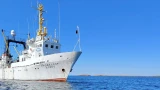 Арктическая экспедиция ученых ВНИРО оценила здоровье и запасы камчатского краба в Баренцевом море