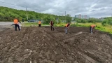 Перекопали ради травы: в Мурманске сеют траву на газонах — массовая рекультивация на двух улицах