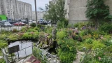 Пруд с черепахами и мотивы Севера: в Мурманске выбрали самые красивые витрины и дворики