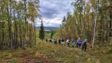 Юность не помеха: в Кольском округе приглашают всех желающих в кардиопоход для старшего возраста