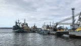 Реформа в портах Заполярья: Минтранс создаст единую Морскую Администрацию РФ