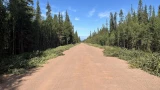 Прощай, пыль: на трассе Умба — Варзуга начали укладывать уникальное покрытие