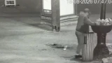 Попался на камеры: в Мурманске поймали вандала, уничтожившего клумбы на Ленина