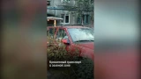 Сваленные деревья и автохлам в зеленой зоне: власти проверили улицу Александра Невского