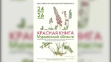 Ожившая Красная книга: в Кировске открылась уникальная выставка редких растений Заполярья