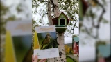 В самом северном ботаническом саду России выпустили уникальный гид по птицам