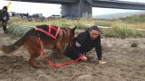 Хвостатый спецназ в грязи: овчарки мурманского УФСИН покорили экстремальный «Заполярный барьер»