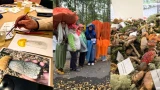 Шторм перетасовал карты: как Грибной фестиваль в Хибинах спасали от непогоды
