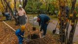 В Мурманске в рамках акции «Зеленый рекорд» высадили две тысячи саженцев; в Североморске меньше, но строго по дендроплану