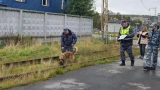 Три медали на троих: кинологи заполярного УФСИН взяли призовые места на межведомственных сборах