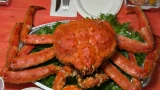 Коллаген, варенье и соусы из Мурманска представили на Международном форуме молодежи