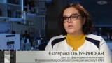 Ученых из Мурманска представили в телепрограмме на федеральном ТВ