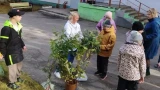 В Мурманске воспитанники коррекционной школы № 1 продолжили «Зеленый рекорд»