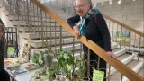 Бесплатный обмен растениями и лекция от ученых: в Апатитах пройдет большой «Зеленый своп»