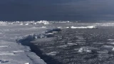 Севморпуть сковывает льдом раньше срока: ученые ААНИИ предупредили о резких переменах в Арктике