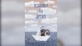 Ожидание, чемоданы и гарнизоны: в Мурманске презентуют книгу «Поправка на дрейф» о женах военных моряков